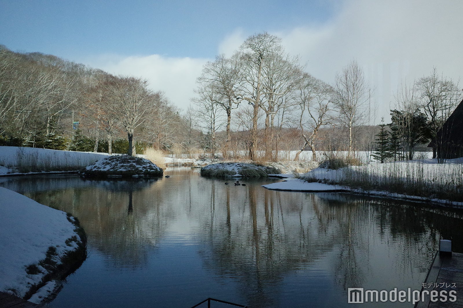 界 ポロト（C）モデルプレス