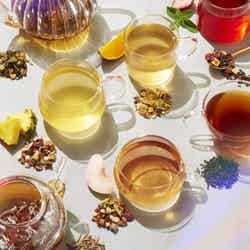 ブリュードティー/提供画像