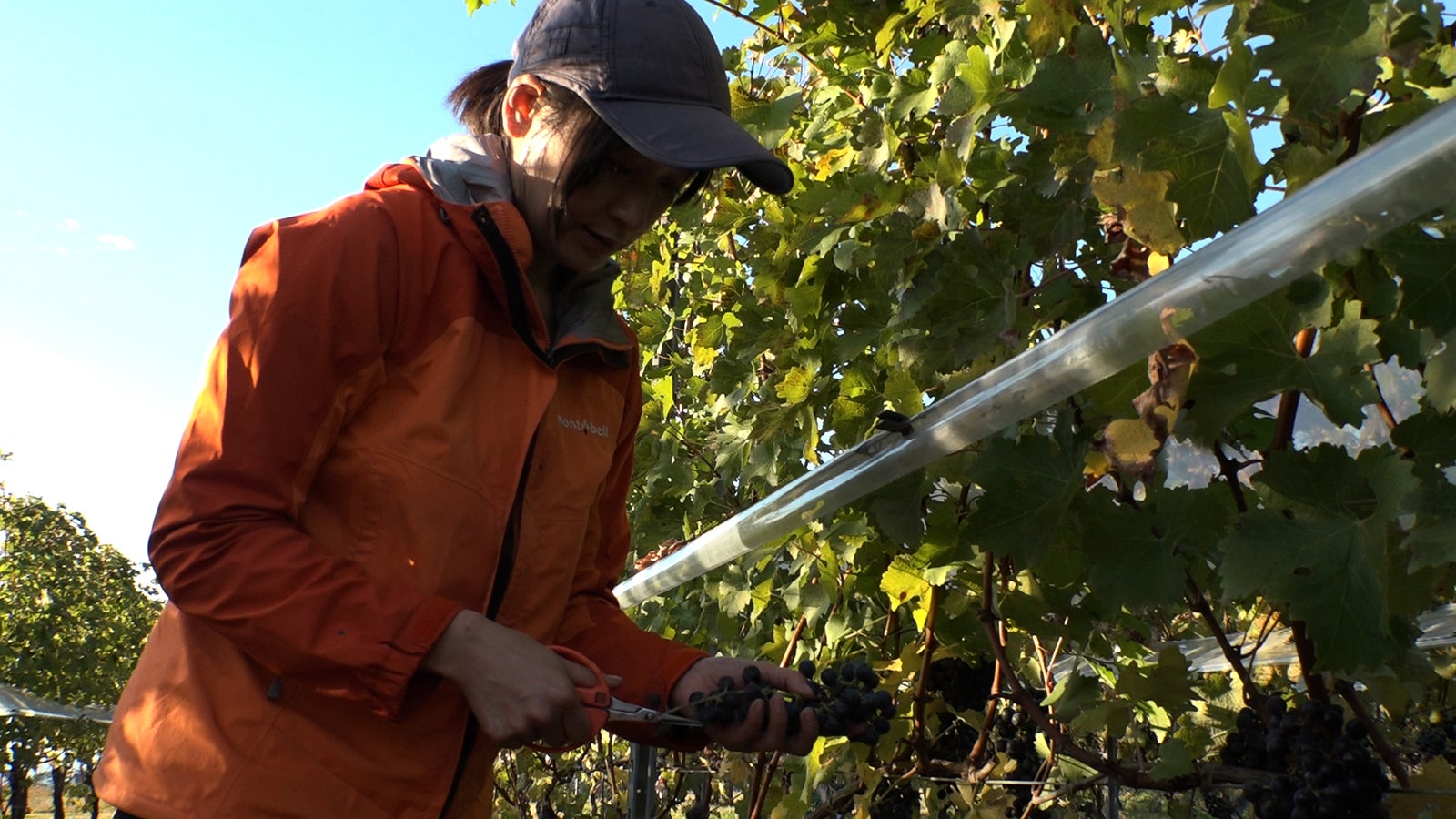 三澤彩奈（写真提供：関西テレビ）
