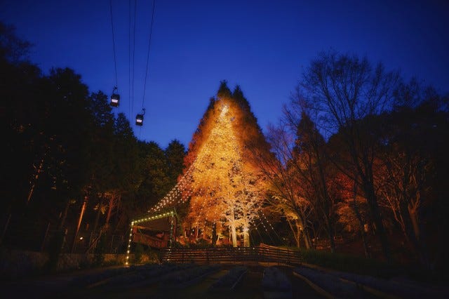 クリスマス、どこ行く？関西で楽しめる「クリスマスイベント」まとめ