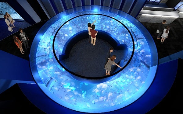 新展示エリア（イメージ）／画像提供：京都水族館
