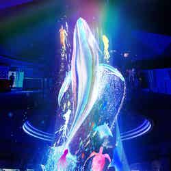 水の大樹/画像提供:横浜八景島