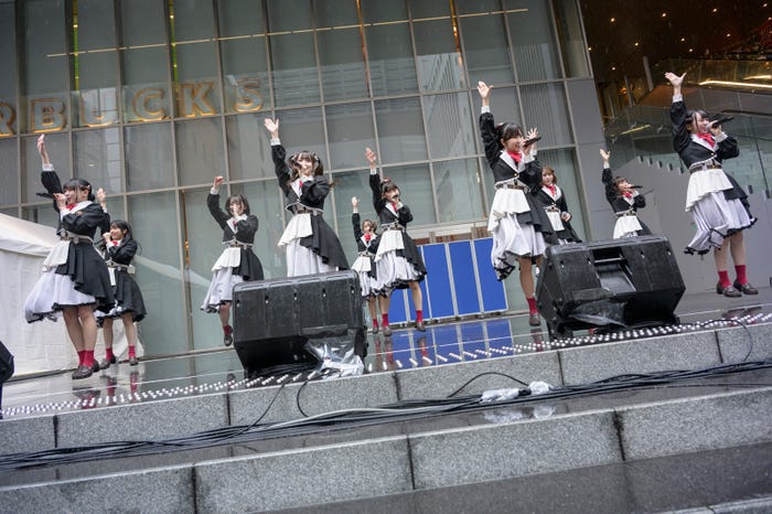 高嶺のなでしこ/Photo by 林晋介・宮家和也