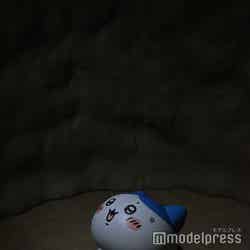 ちいかわパーク(C)モデルプレス