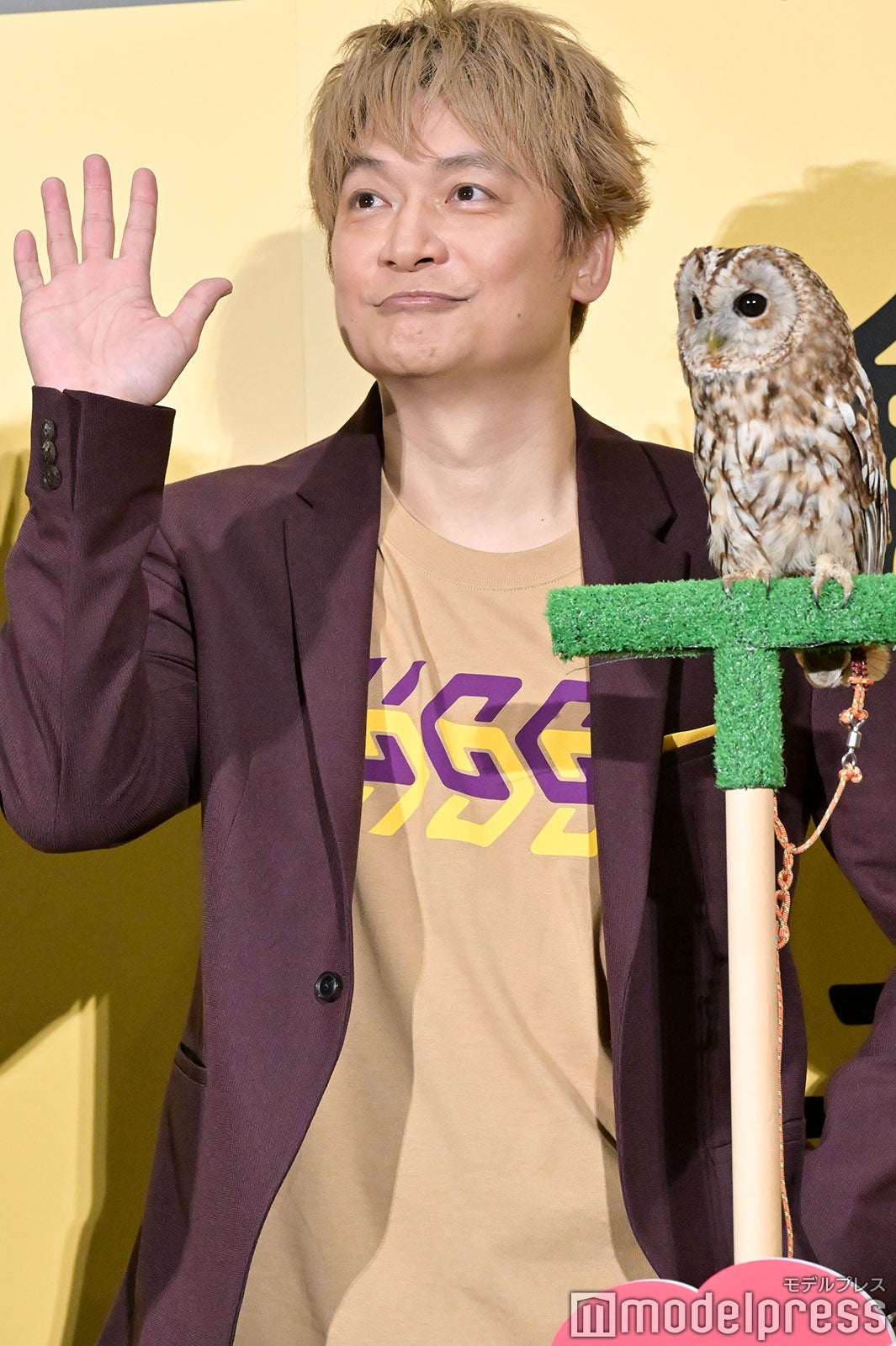 香取慎吾 （C）モデルプレス