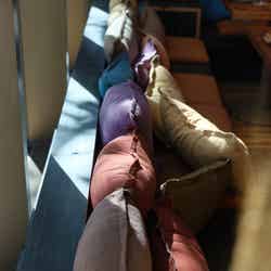 Pizza 4P's/提供画像