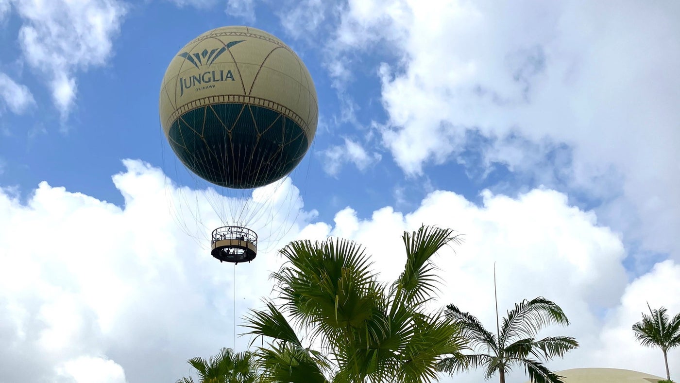 ジャングリア沖縄/提供画像