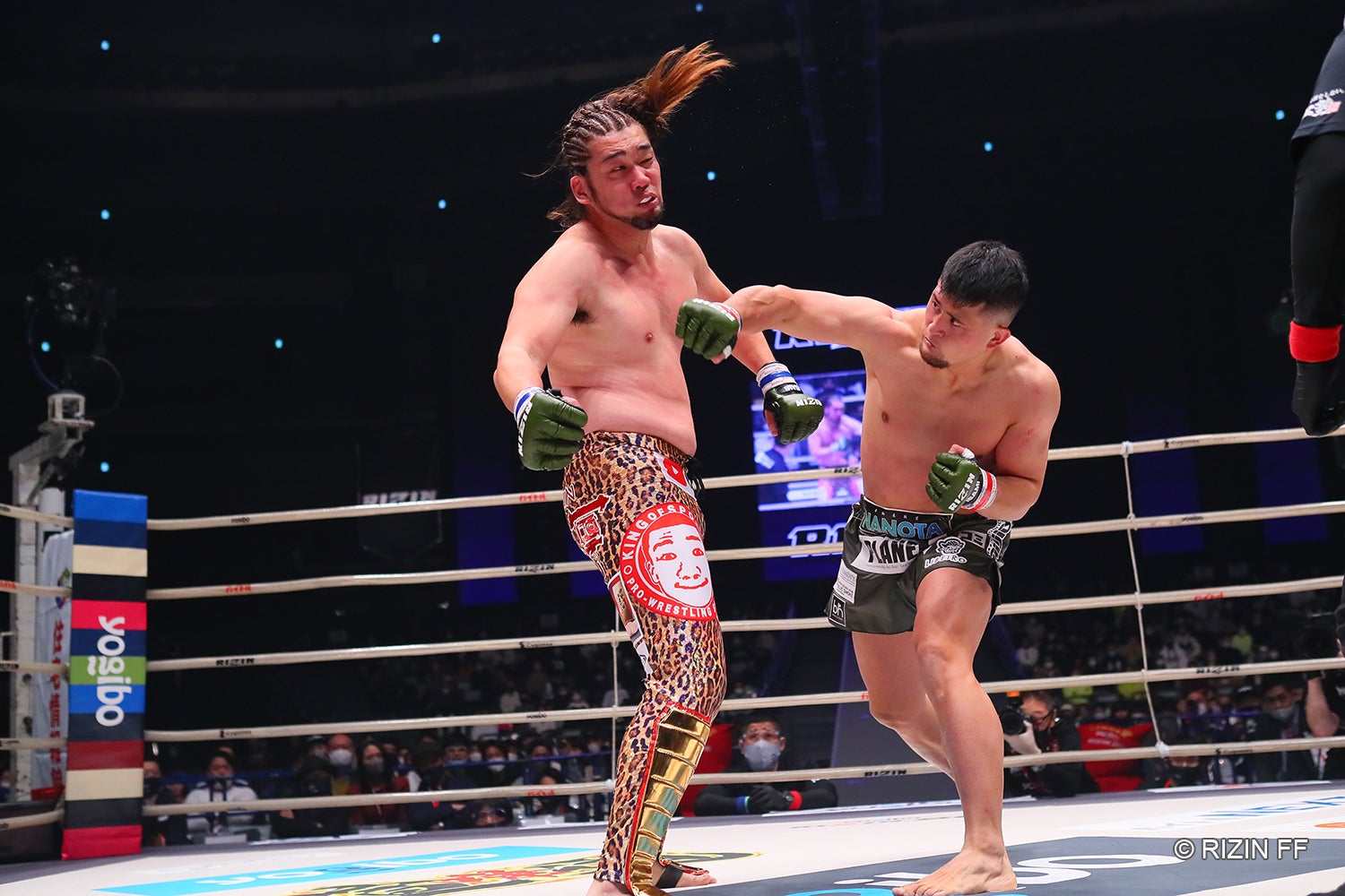 シバターVSHIROYA（C）RIZIN FF