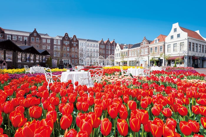 光のファンタジアシティ※イメージ／画像提供：ハウステンボス