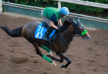 【小倉記念】ジョバンニ万全 文句なしの臨戦態勢 精神面も充実で“ナツコク”帰還
