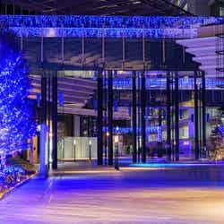 ヨコハマミライト(提供写真)