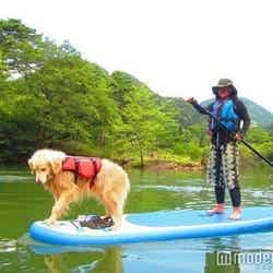 スタンドアップパドルボード/画像提供:日光市観光情報発信センター