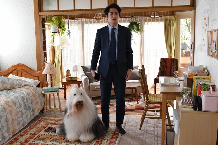 とろろ、永山絢斗/「初めて恋をした日に読む話」第7話より(C)TBS