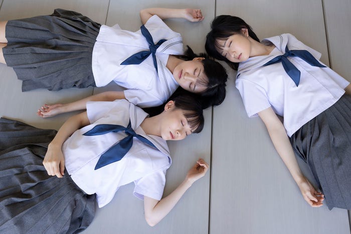 かすみ草とステラ(画像提供:ワニブックス)