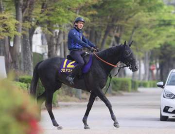【皐月賞】ゾロアストロ 外め枠問題なし 宮田師「不利なく回ってこれそう」 目を細める出来には「前進気勢もあり、すごく順調」