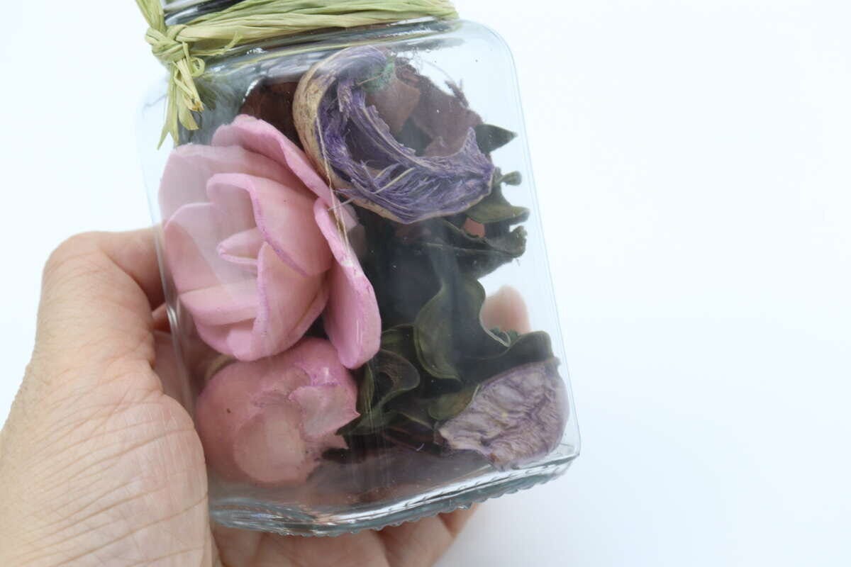 ガラスポプリ（ラベンダー）　植物