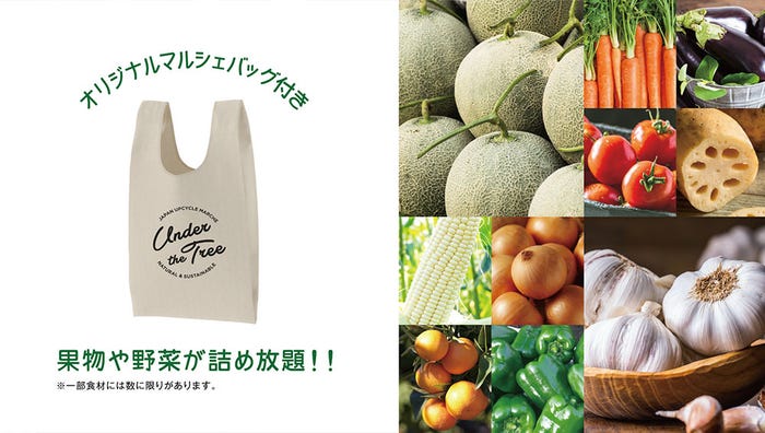 アップサイクルマルシェ開催 フードロス“ゼロ”目指す<Under The Tree>