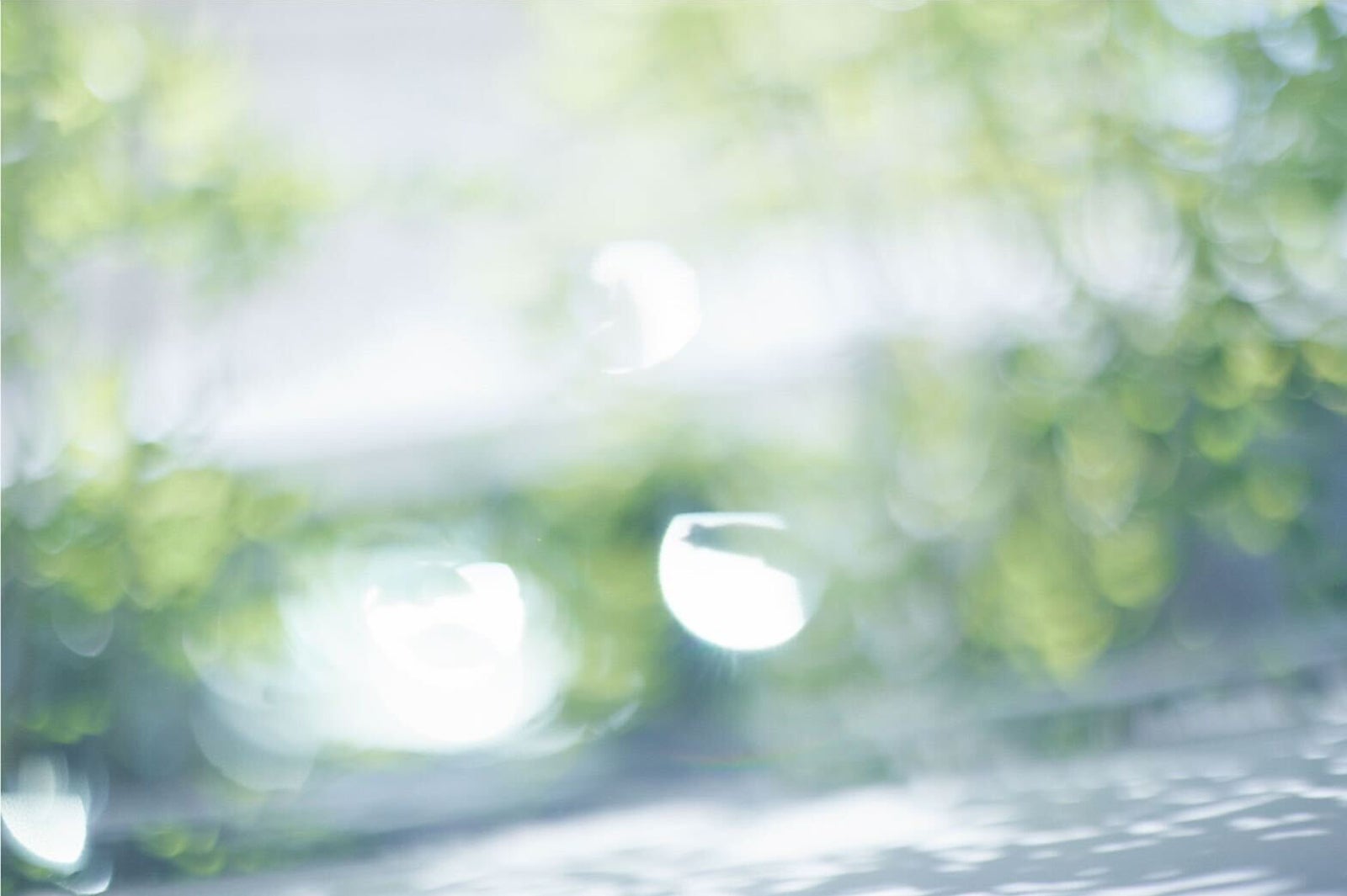 Herz（提供写真）