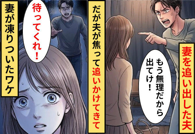「もう無理だから出ていけ」妻を追い出した夫！だが「待ってくれ」夫が焦って夫が追いかけてきたワケに…妻フリーズ