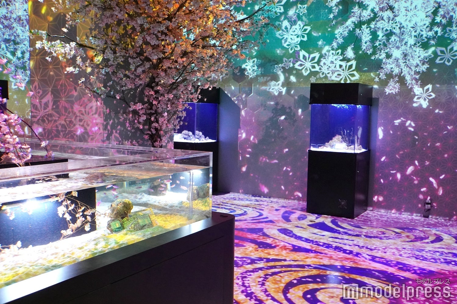 品川プリンスホテル（C）モデルプレス