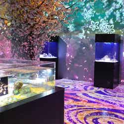 品川プリンスホテル(C)モデルプレス