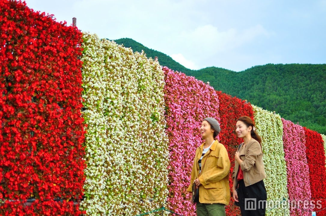 大石公園内のベゴニアの滝、その名も「花のナイアガラ」。ぜったい写真におさめたいスポット（9月下旬まで）（C）モデルプレス