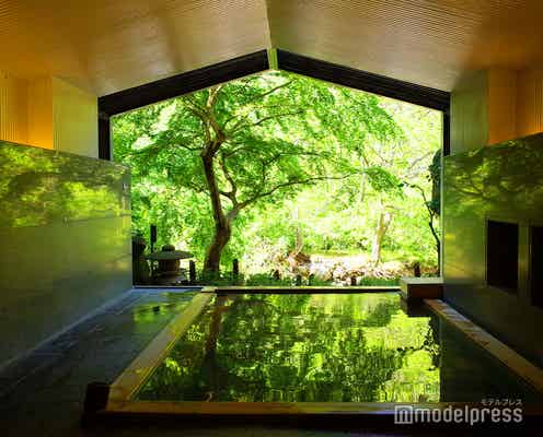 「星野リゾート 界 箱根」でおこもり旅!今泊まりたい4つの理由<体験レポ>