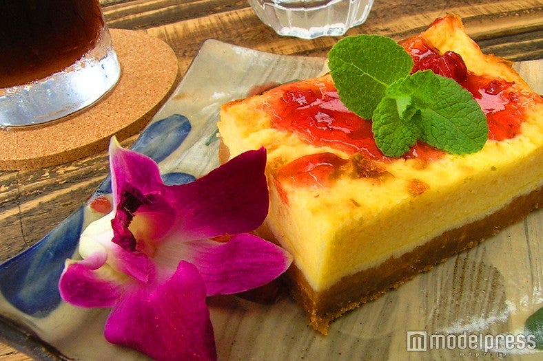 チーズケーキ／画像提供：浜辺のTipiCafe
