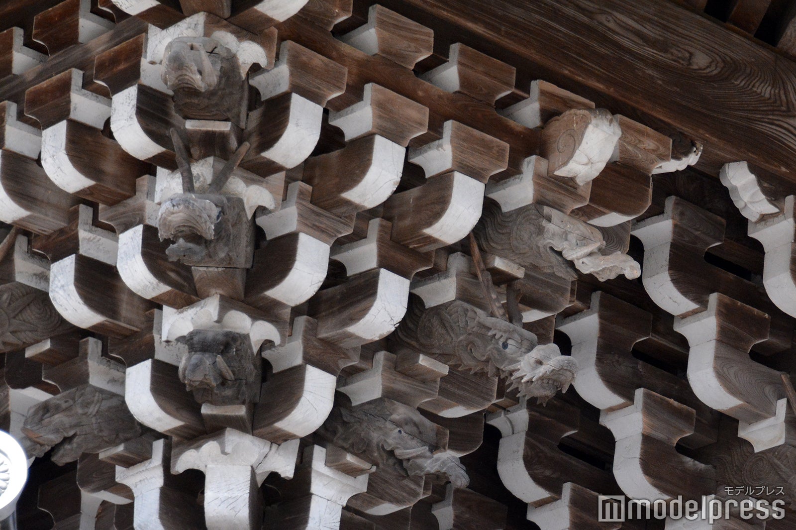 軒裏の組み木によく見ると象、バク、龍が彫られている（C）モデルプレス