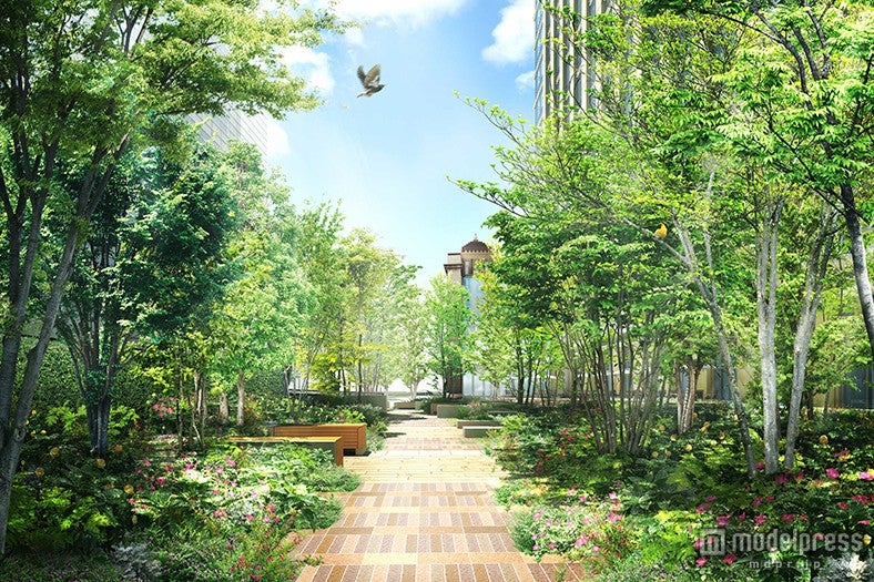 緑豊かな広場イメージ