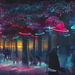 SAKUYA LUMINA(提供画像)