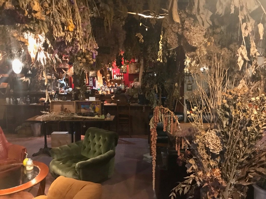 秘密基地植物園とカフェバーの店内風景（提供元：秘密基地植物園とカフェバー）