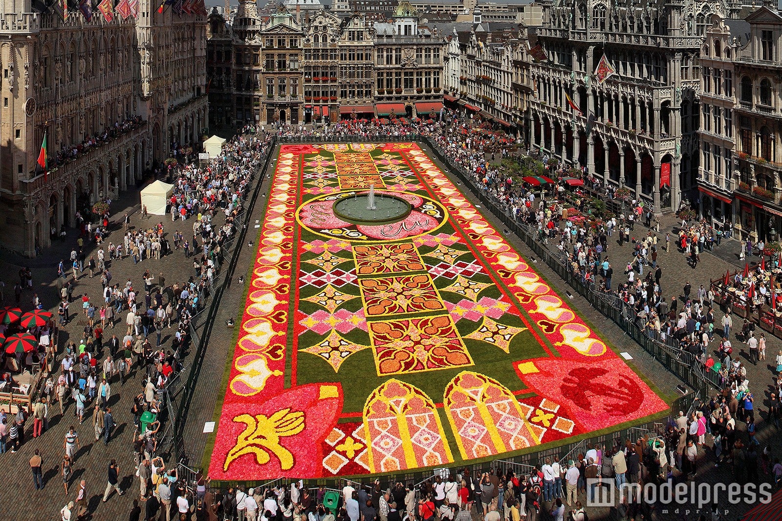 ベルギーの花の祭典「フラワーカーペット」が美しすぎる 今年は「花鳥