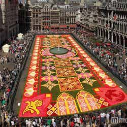 ベルギーの花の祭典「フラワーカーペット」が美しすぎる　今年は「花鳥風月」がテーマ（C）Tapis de Fleurs de Bruxelles （C）Batistini