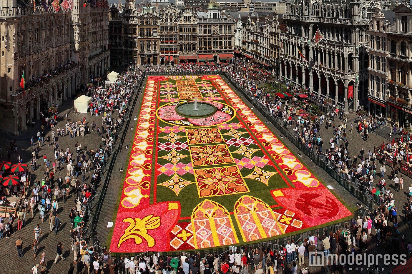 ベルギーの花の祭典「フラワーカーペット」が美しすぎる　今年は「花鳥風月」がテーマ（C）Tapis de Fleurs de Bruxelles （C）Batistini