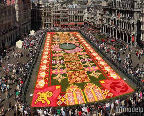 ベルギーの花の祭典「フラワーカーペット」が美しすぎる 今年は「花鳥風月」がテーマ