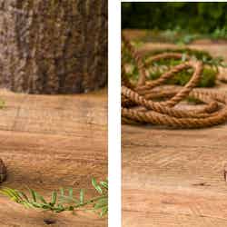 マグカップ 税込2,200円(C)Disney