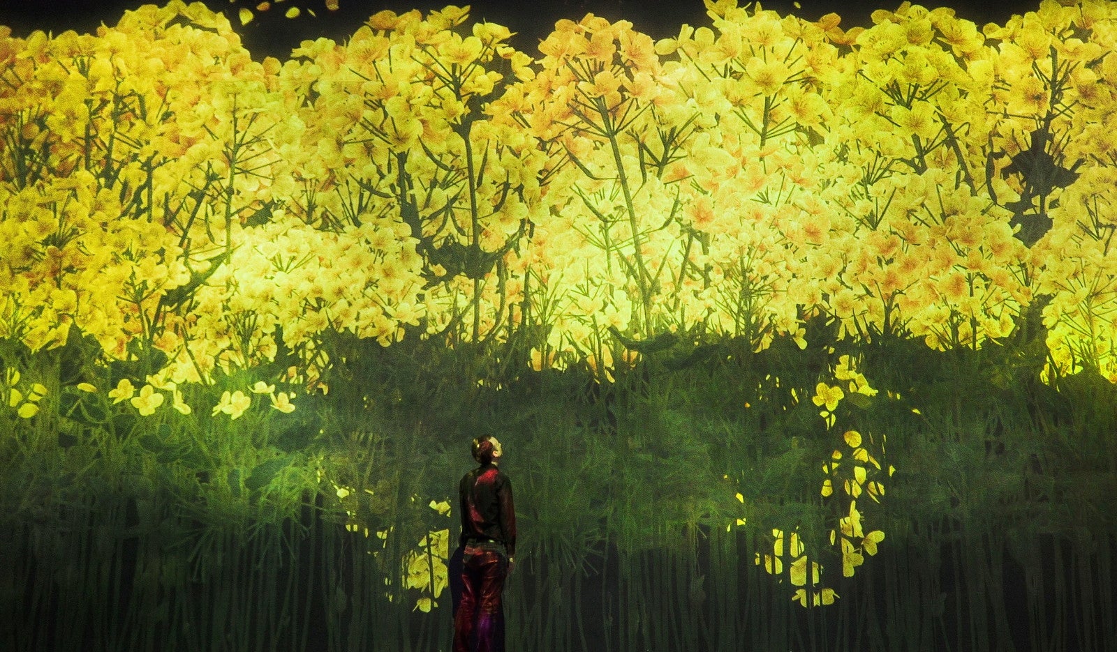 増殖する無量の生命（菜の花）／画像提供：チームラボ