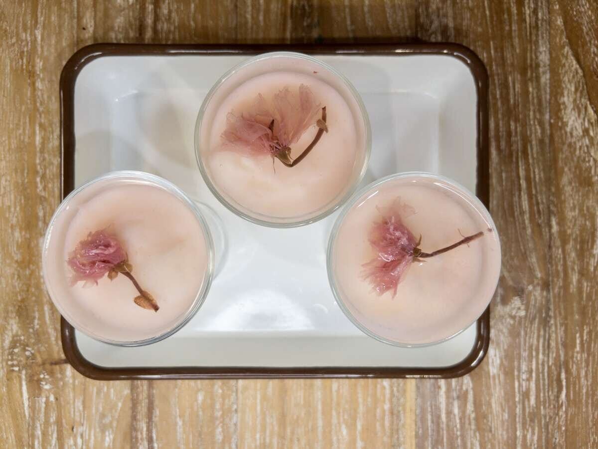 ブラマンジェの上に③の桜の塩漬けを乗せ、④の桜ジュレを注いで冷蔵庫で2時間ほど冷やしたら、完成です ブラマンジェの上に③の桜の塩漬けを乗せ、④の桜ジュレを注いで冷蔵庫で2時間ほど冷やしたら、完成です