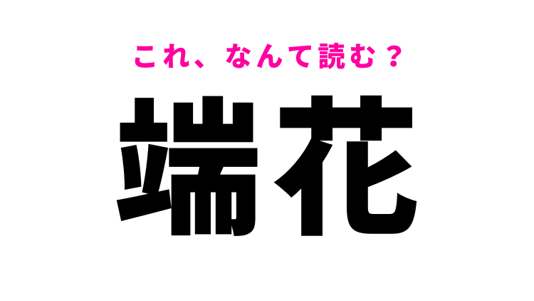 瑞花」はなんて読む？めでたい花を表す言葉！ - モデルプレス