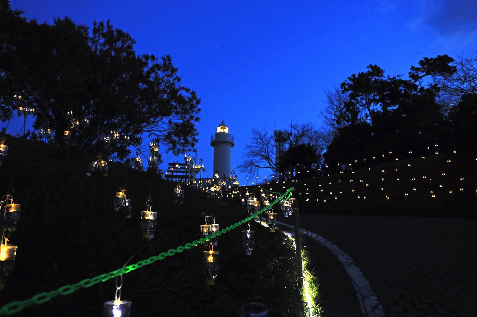 画像提供：越前町観光連盟