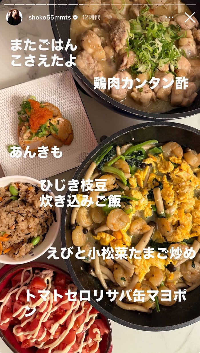 中川翔子Instagramストーリーズより