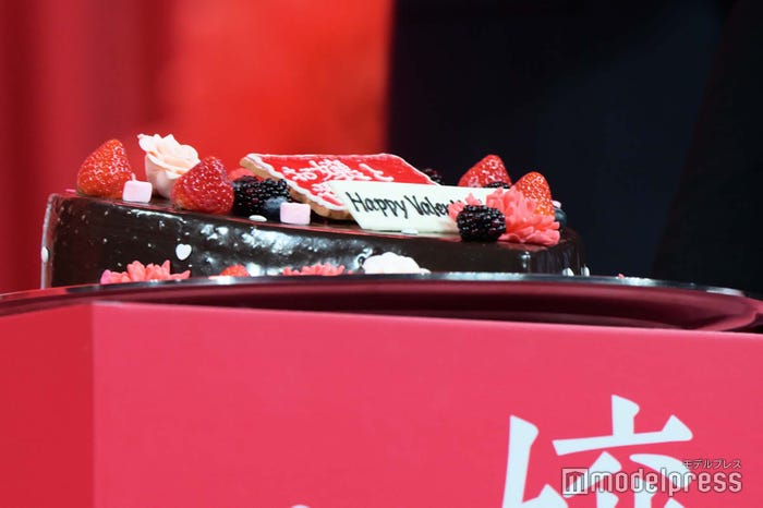 福本莉子&佐々木希がデコレーションしたケーキ(C)モデルプレス