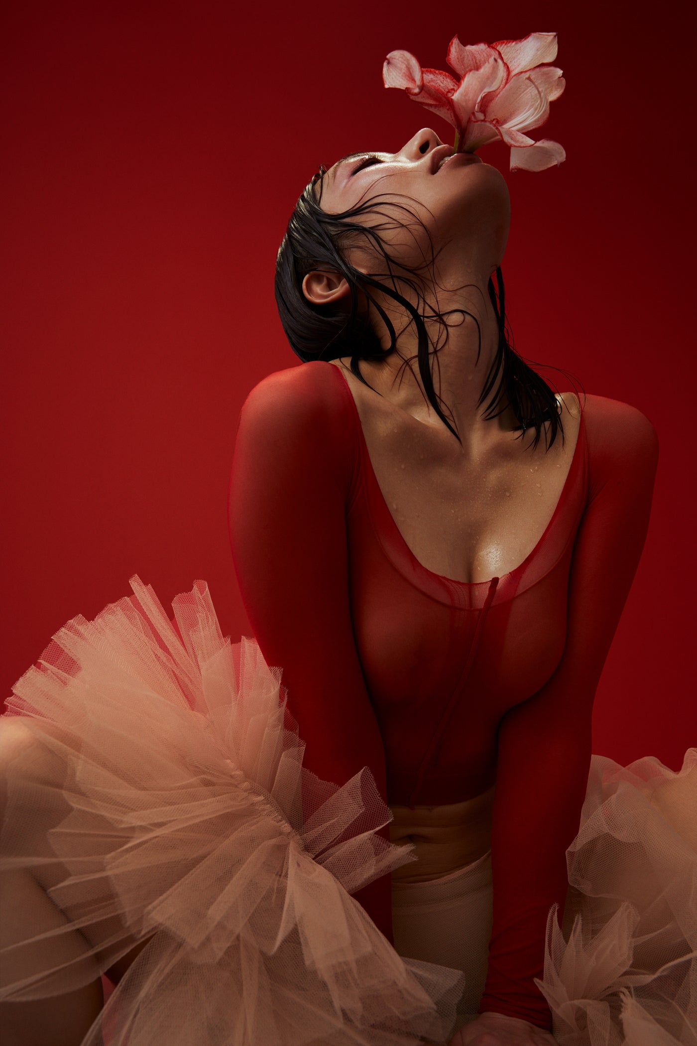 河北彩伽／撮影：CHITO（提供画像）