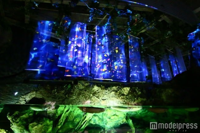 館内の様子／画像提供：横浜八景島