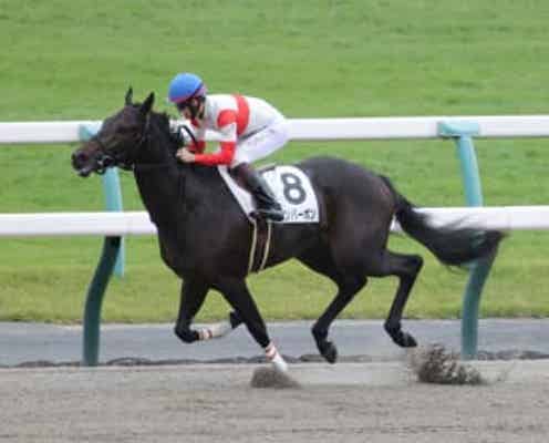 【新馬戦】ダノンバーボン ぶっちぎり10馬身差圧勝 池添師「初戦からこんなパフォーマンスを出せるとは」