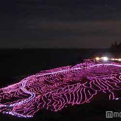 ロマンティックなピンク&黄色イルミ輝く!石川の棚田が光の海に/画像提供:千枚田景勝保存実行委員会事務局(輪島市観光課)