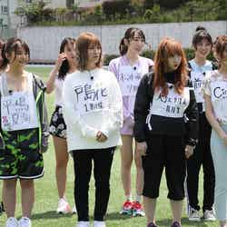 ロンドンハーツ「～もう一度花咲かせたい！～元AKB48だらけの非公認運動会」写真提供：テレビ朝日