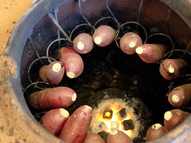 column_6fd9168d2dbedf3799cac1d85529040e.