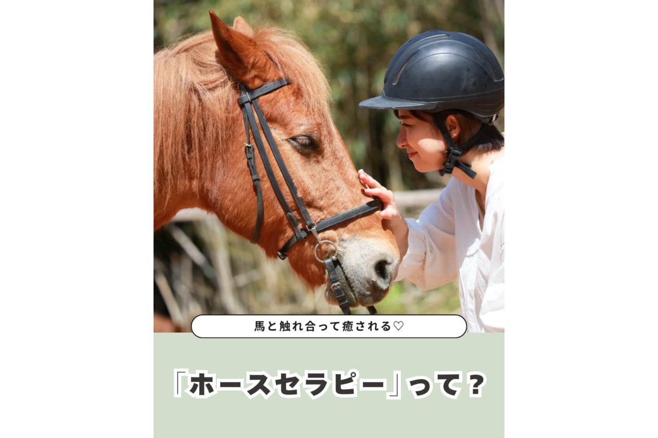 馬とのふれあいで心と体がととのう。今注目の“ホースセラピー”とは？